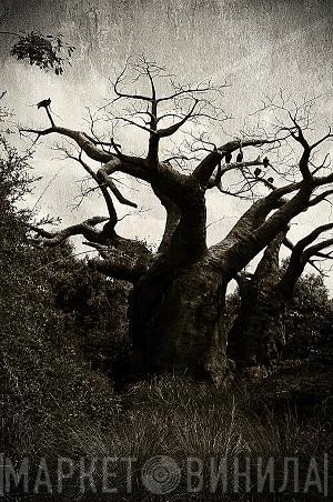 Persistence In Mourning / Pentadrvg  - Alice