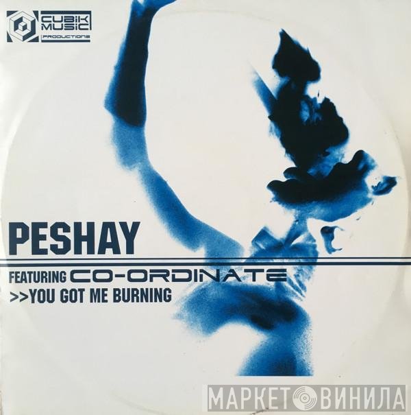 Peshay, Co-Ordinate - You Got Me Burning / Fuzion