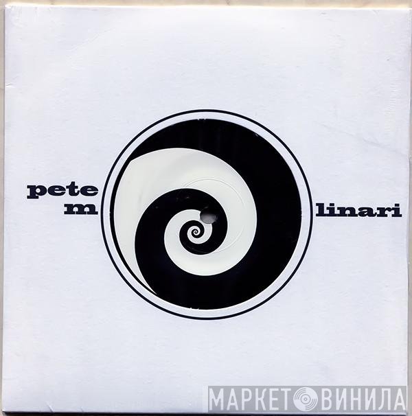Pete Molinari - Look To The Wind