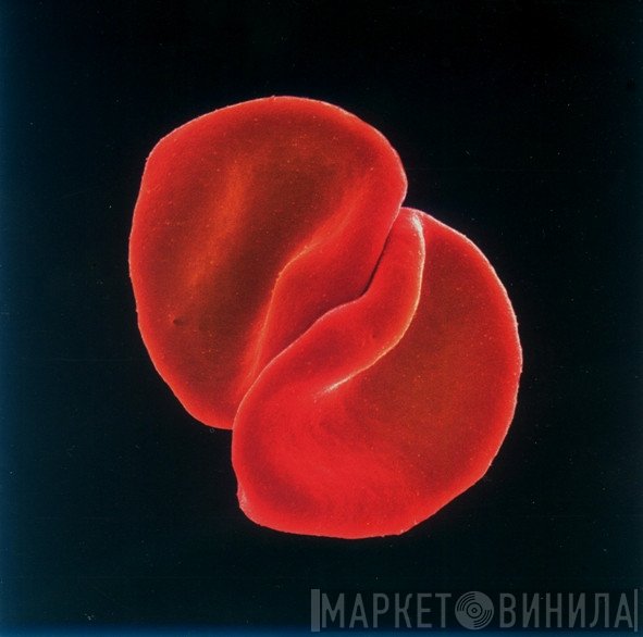 Peter Gabriel  - Scratch My Back
