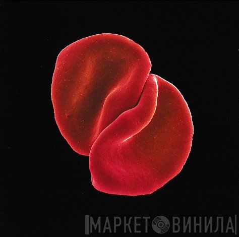 Peter Gabriel  - Scratch My Back