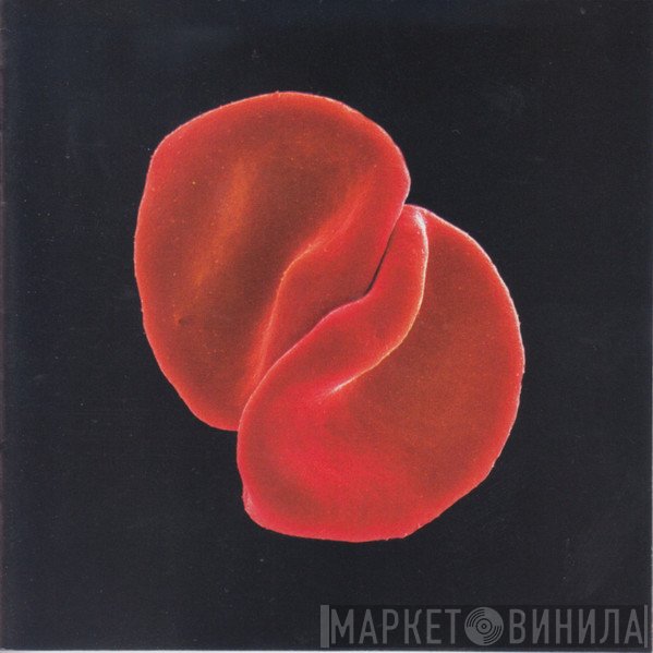 Peter Gabriel - Scratch My Back