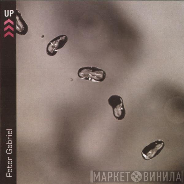 Peter Gabriel  - Up