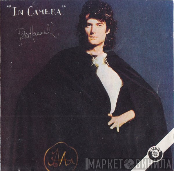 Peter Hammill  - In Camera