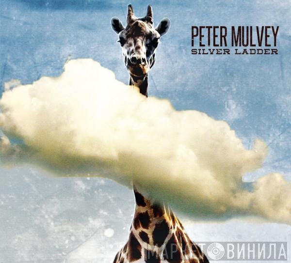 Peter Mulvey  - Silver Ladder