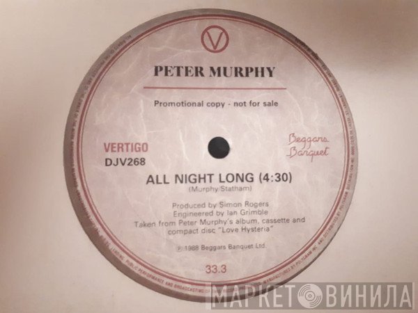 Peter Murphy  - All Night Long