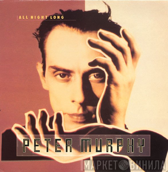 Peter Murphy  - All Night Long