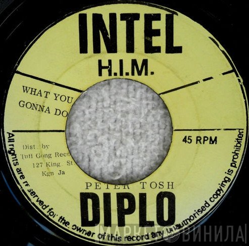 Peter Tosh - What You Gonna Do / Version