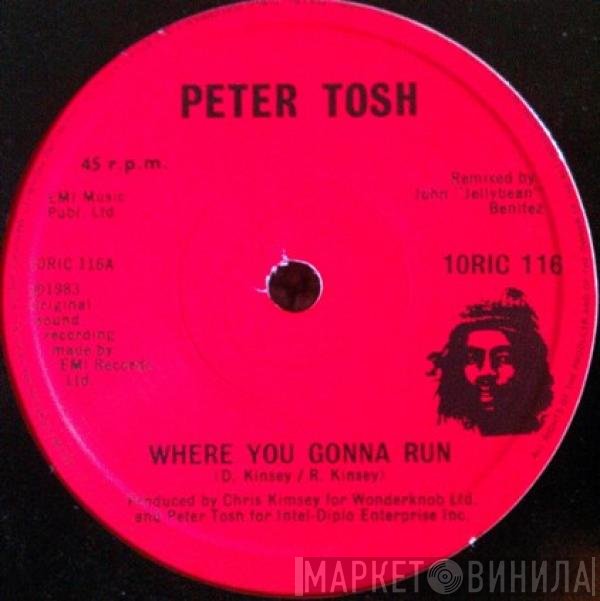 Peter Tosh - Where You Gonna Run / Stop That Train