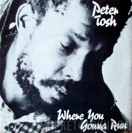 Peter Tosh - Where You Gonna Run