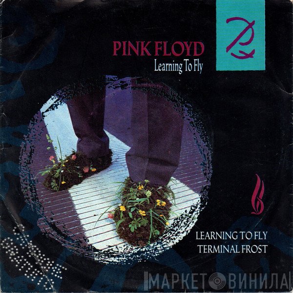 Pink Floyd  - Learning To Fly / Terminal Frost