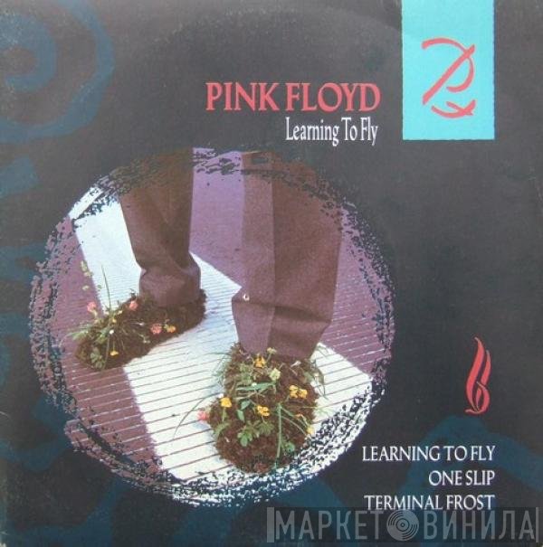 Pink Floyd  - Learning To Fly / Terminal Frost