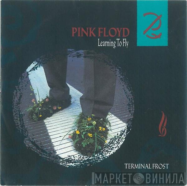 Pink Floyd  - Learning To Fly / Terminal Frost