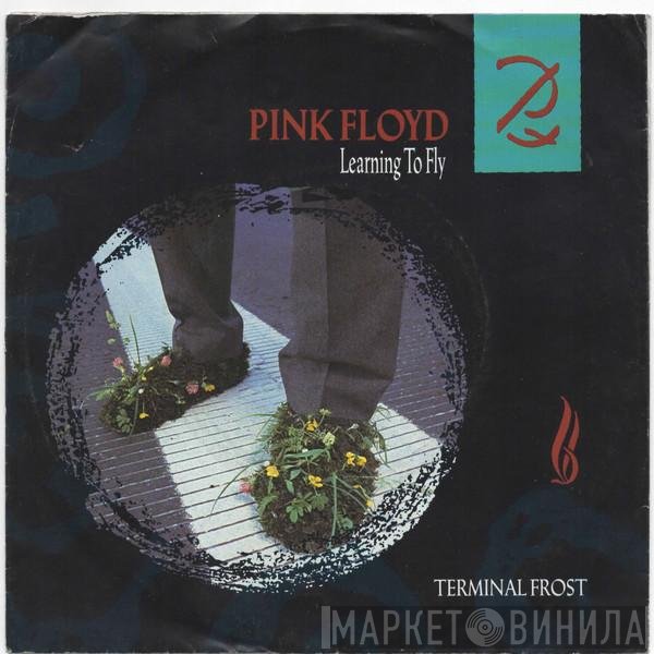 Pink Floyd  - Learning To Fly / Terminal Frost