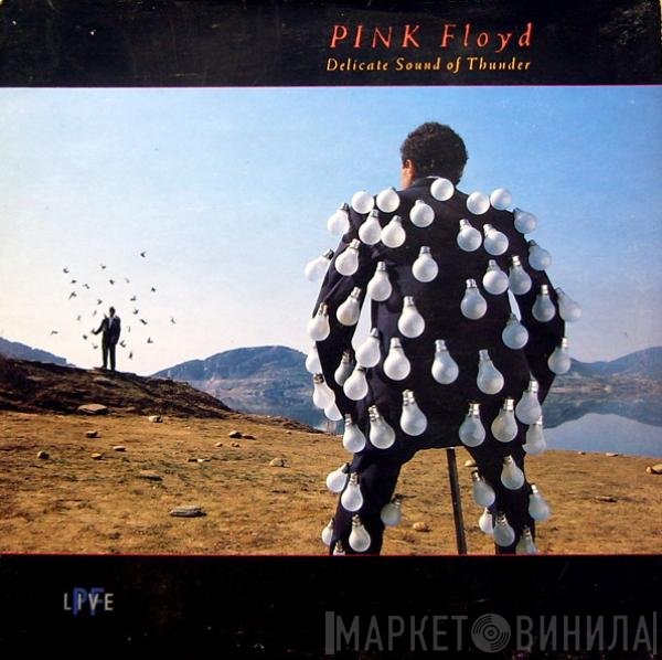 Pink Floyd - Delicate Sound Of Thunder