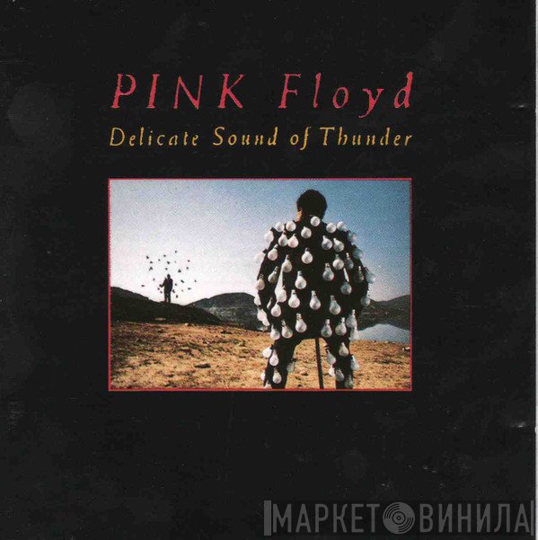 Pink Floyd  - Delicate Sound Of Thunder
