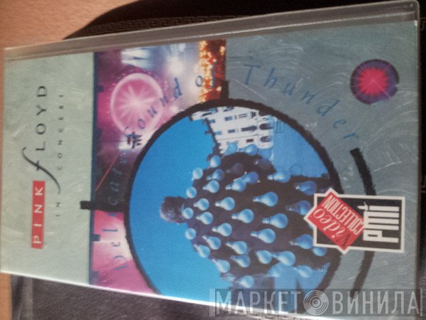 Pink Floyd  - In Concert - Delicate Sound Of Thunder