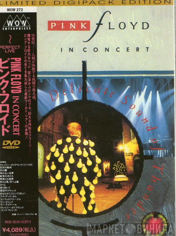 Pink Floyd  - In Concert - Delicate Sound Of Thunder
