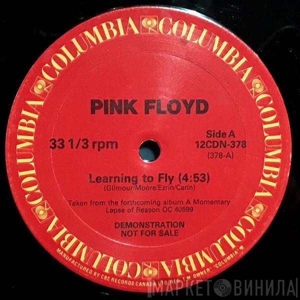 Pink Floyd  - Learning To Fly