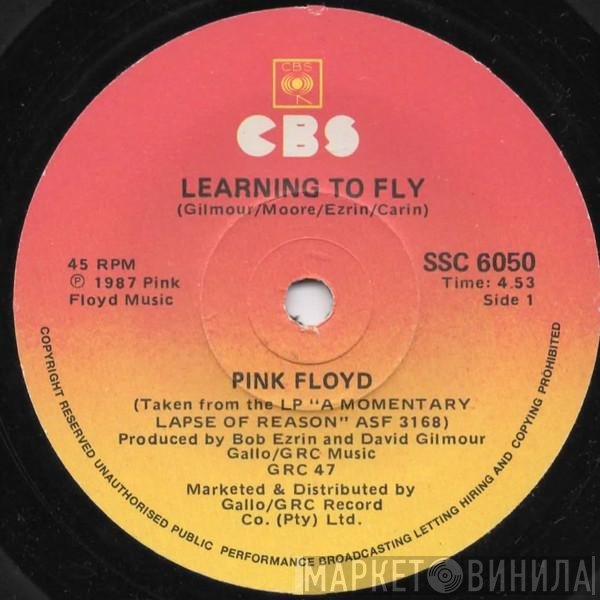 Pink Floyd  - Learning To Fly