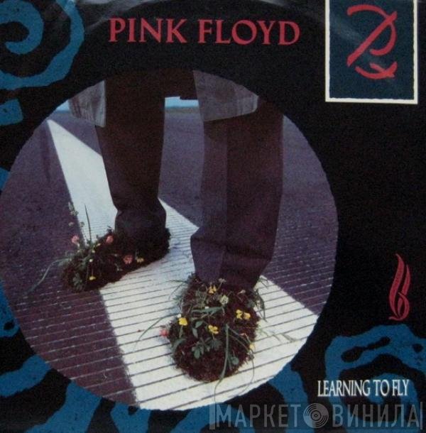 Pink Floyd  - Learning To Fly
