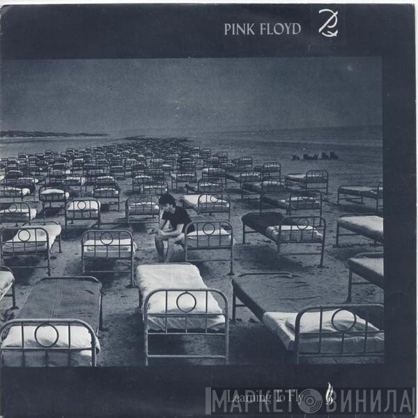 Pink Floyd  - Learning To Fly