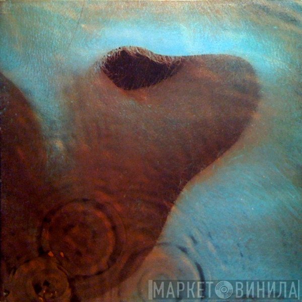 Pink Floyd  - Meddle