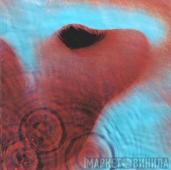 Pink Floyd  - Meddle