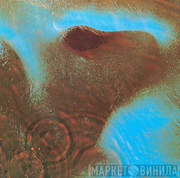 Pink Floyd  - Meddle