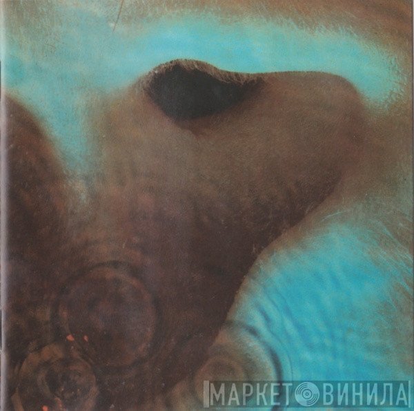 Pink Floyd - Meddle