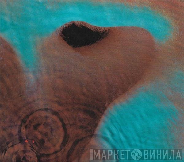 Pink Floyd  - Meddle