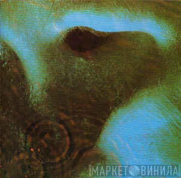 Pink Floyd  - Meddle