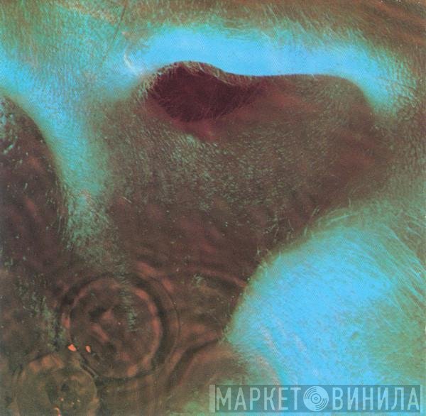 Pink Floyd - Meddle