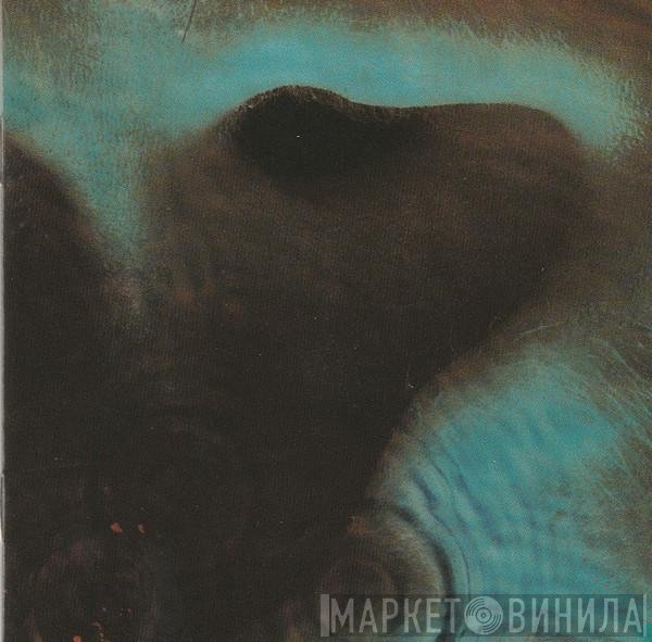 Pink Floyd  - Meddle