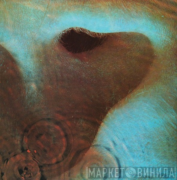 Pink Floyd  - Meddle