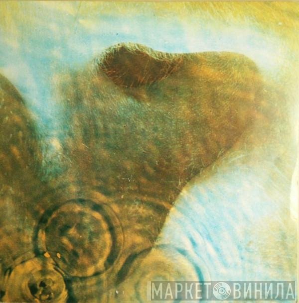 Pink Floyd  - Meddle