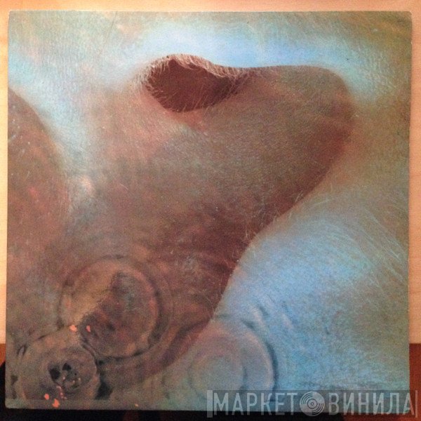 Pink Floyd  - Meddle