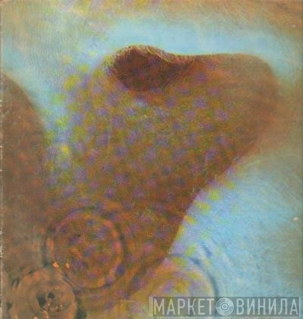 Pink Floyd  - Meddle
