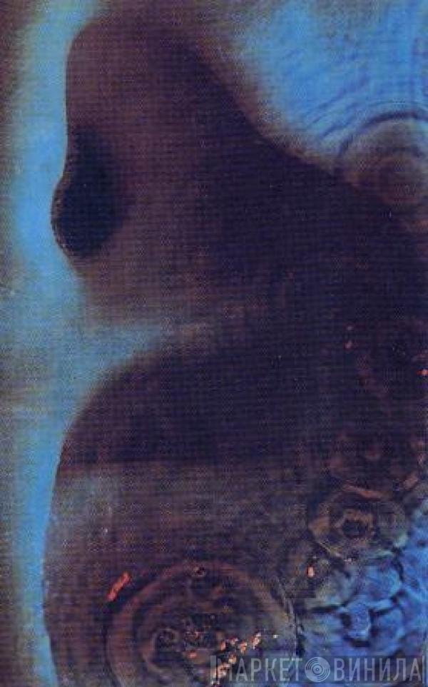 Pink Floyd  - Meddle