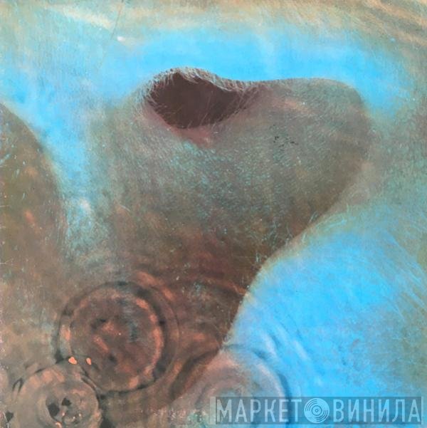 Pink Floyd  - Meddle