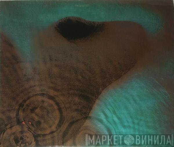 Pink Floyd  - Meddle
