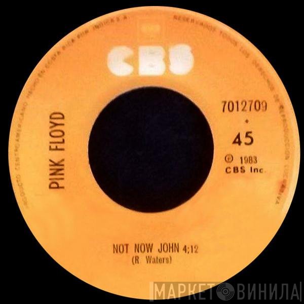 Pink Floyd  - Not Now John