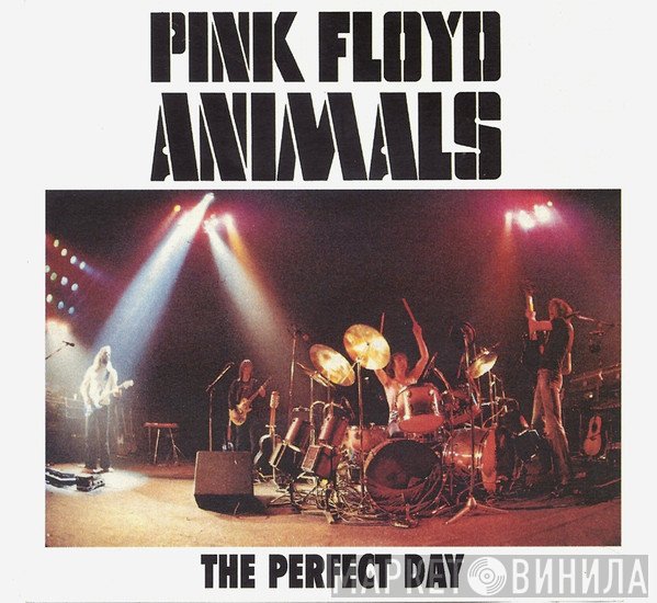 Pink Floyd  - The Perfect Day