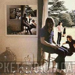 Pink Floyd - Ummagumma