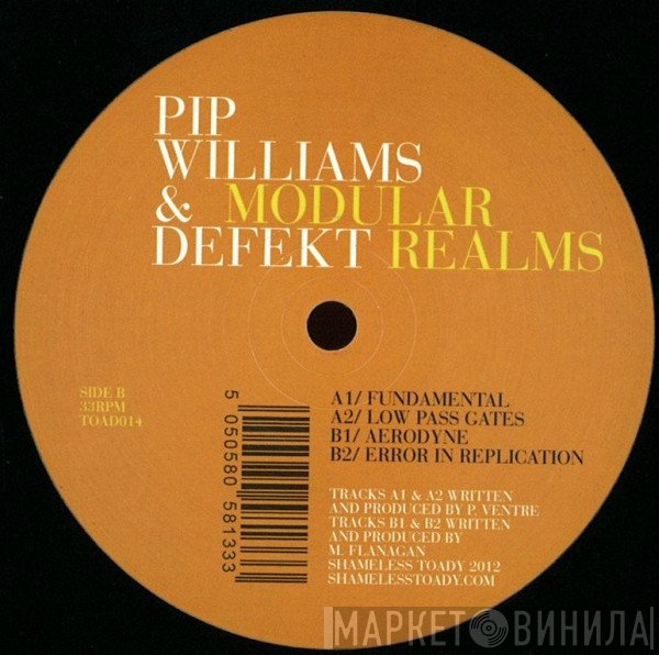 Pip Williams  / DeFeKT   - Modular Realms