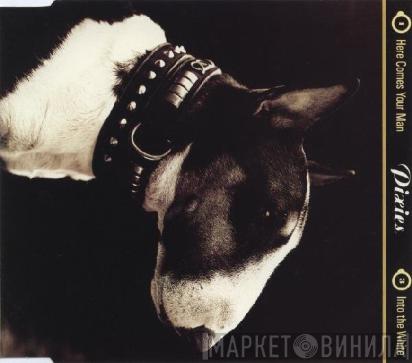 Pixies  - Here Comes Your Man