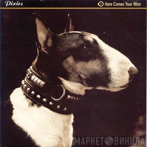 Pixies  - Here Comes Your Man