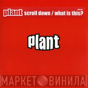 Plant  - Scroll Down / What Is This?