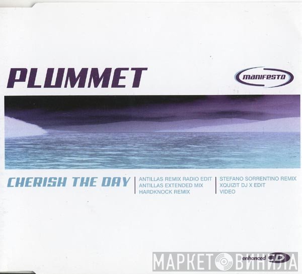 Plummet - Cherish The Day