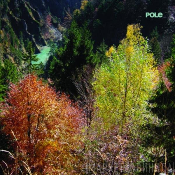 Pole  - Wald